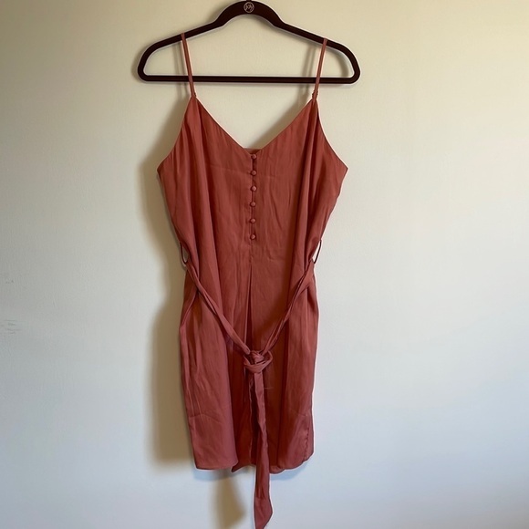 Feminine Rose Mini Dress Soft Girl Neutral Naked Zebra Silky Med Pink Minimalist - Picture 1 of 11